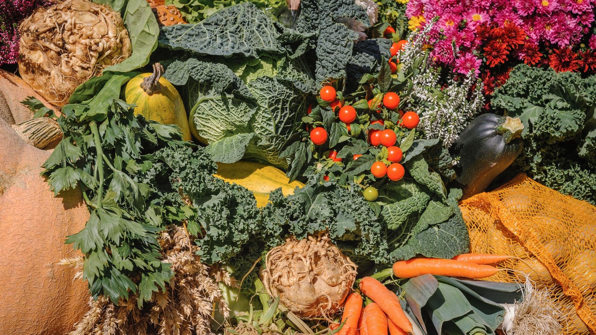 Vegane Ernährung - Nährstoffmangel vorbeugen