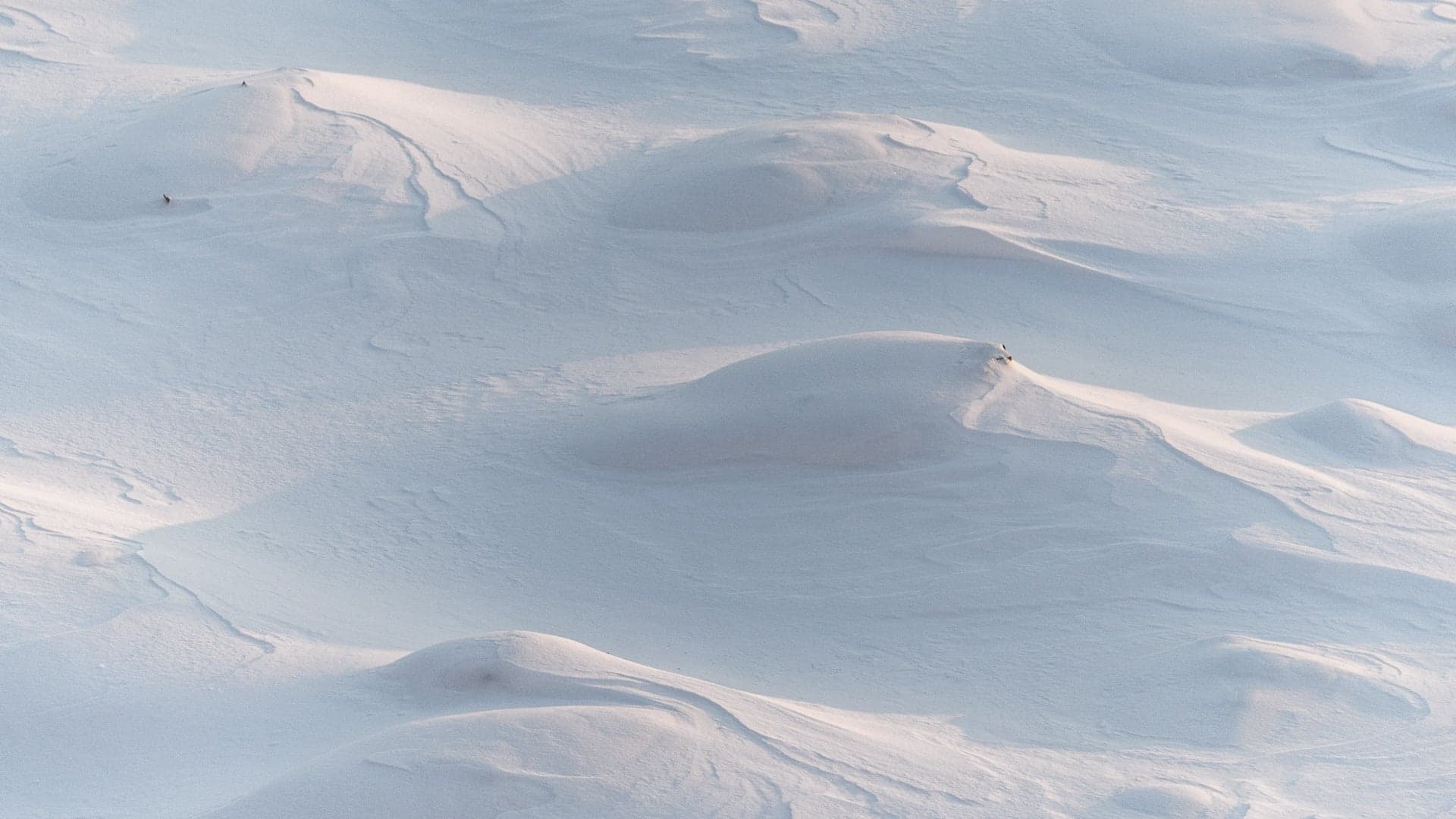 Die richtige Menge an Vitamin D3 für den Winter