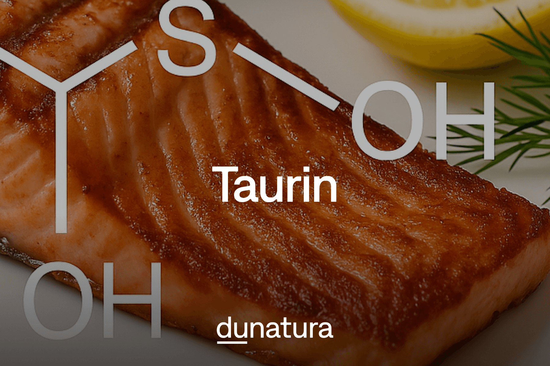 Taurin – Eine Aminosäure im Fokus der Forschung