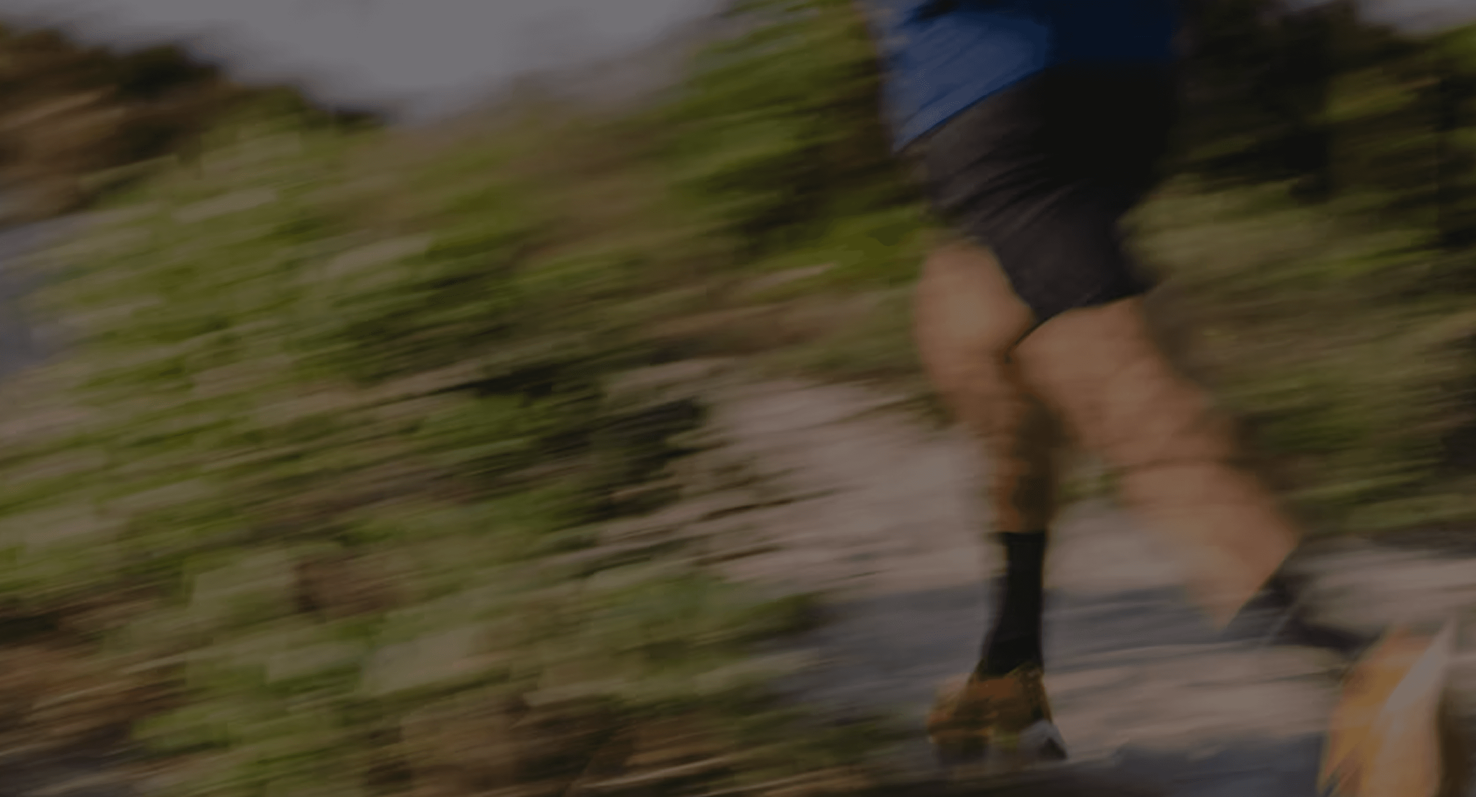 Transparency and Quality