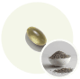 pill