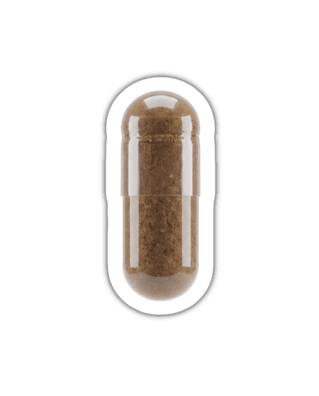 Shilajit
