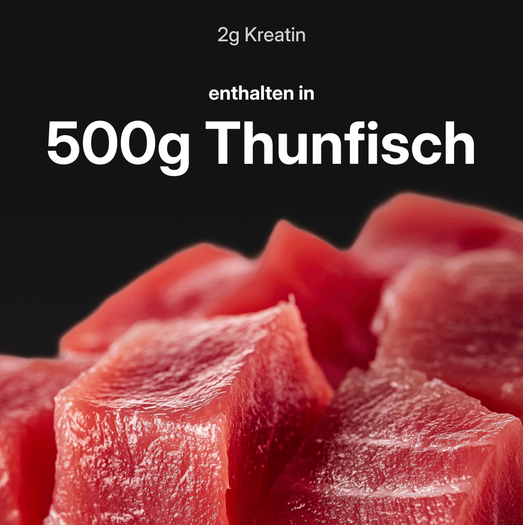 Kreatin Daily Tagespacks (2g reines Kreatin/Tag)