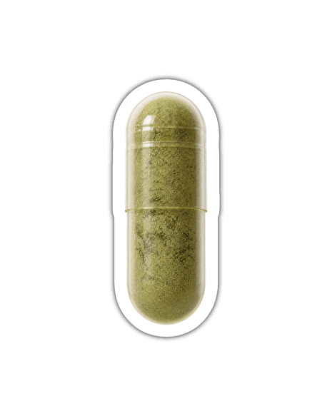 Matcha (Bio)