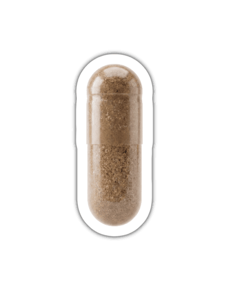 Kollagen-Booster