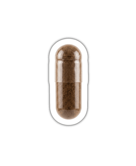 Maca