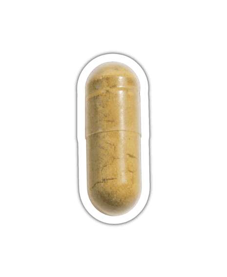 Mariendistel Extrakt