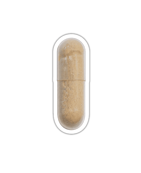 Multivitamin Komplex