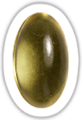 Omega 3 Vegan