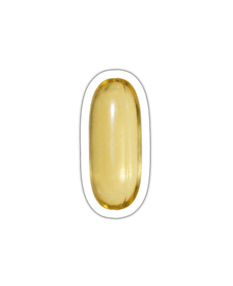 Omega 3 XL Vegan