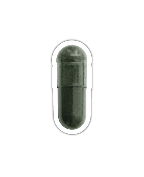 Chlorella