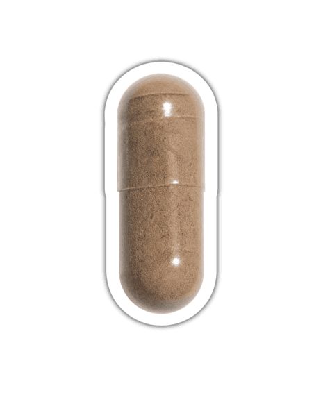 Rhodiola Rosea