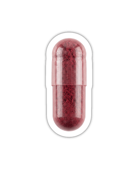 Rote Bete Pulver