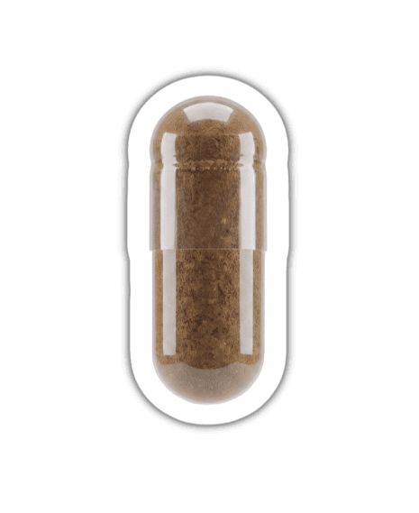 Shilajit