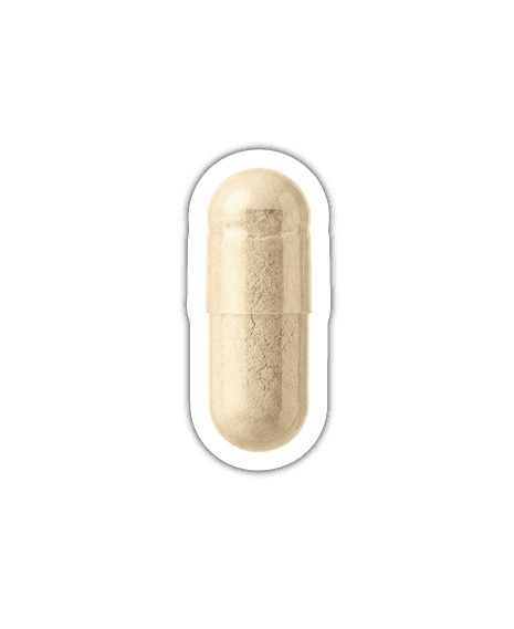Vitamin C XL