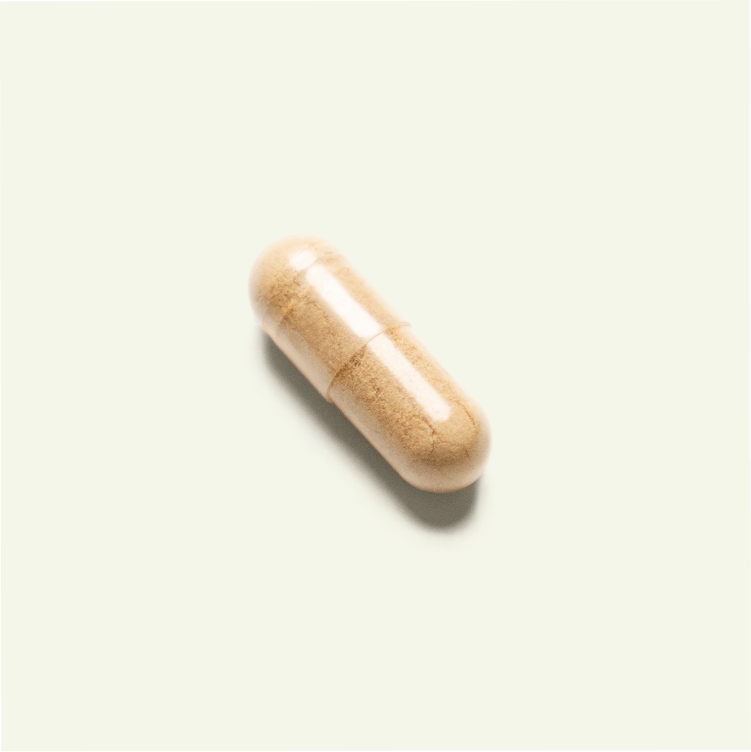 A picture of an capsule containing Ashwagandha powder from India